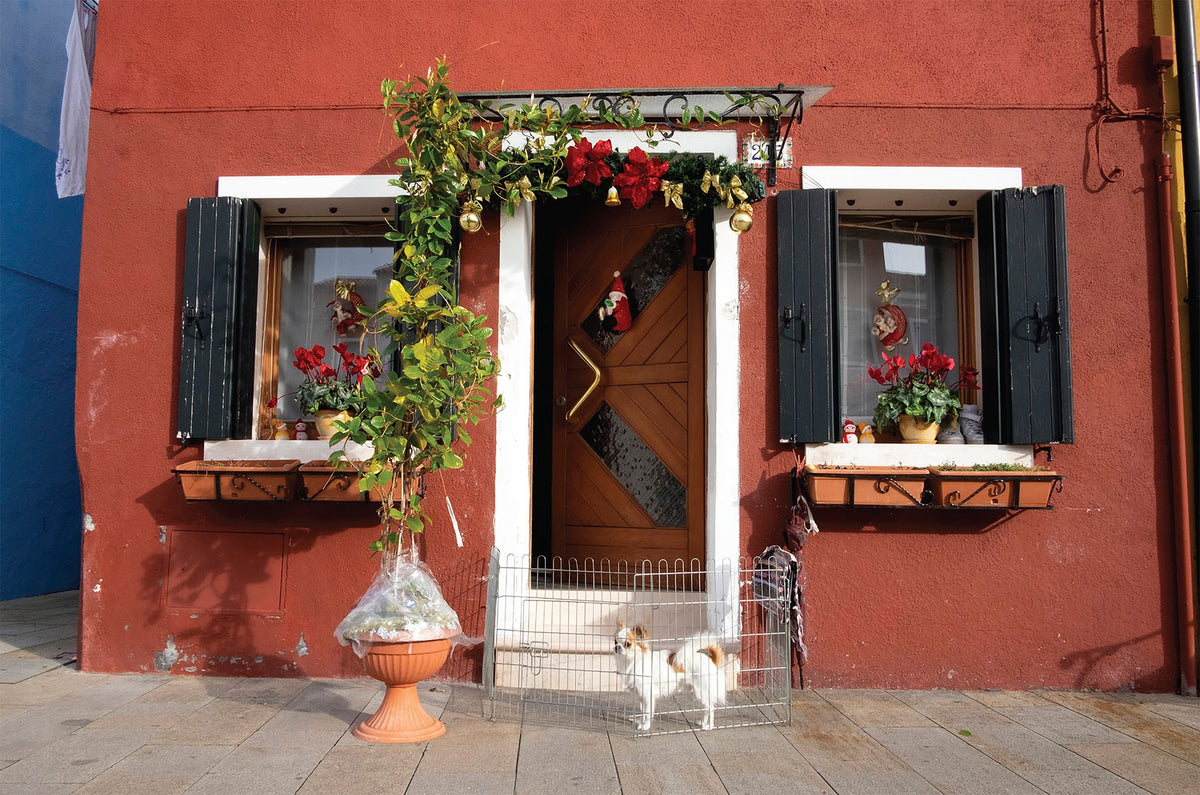 Photograph by Jessie & Rob DiBlasi Gale, Hillvale Photo Trophy 2026 entry #0027