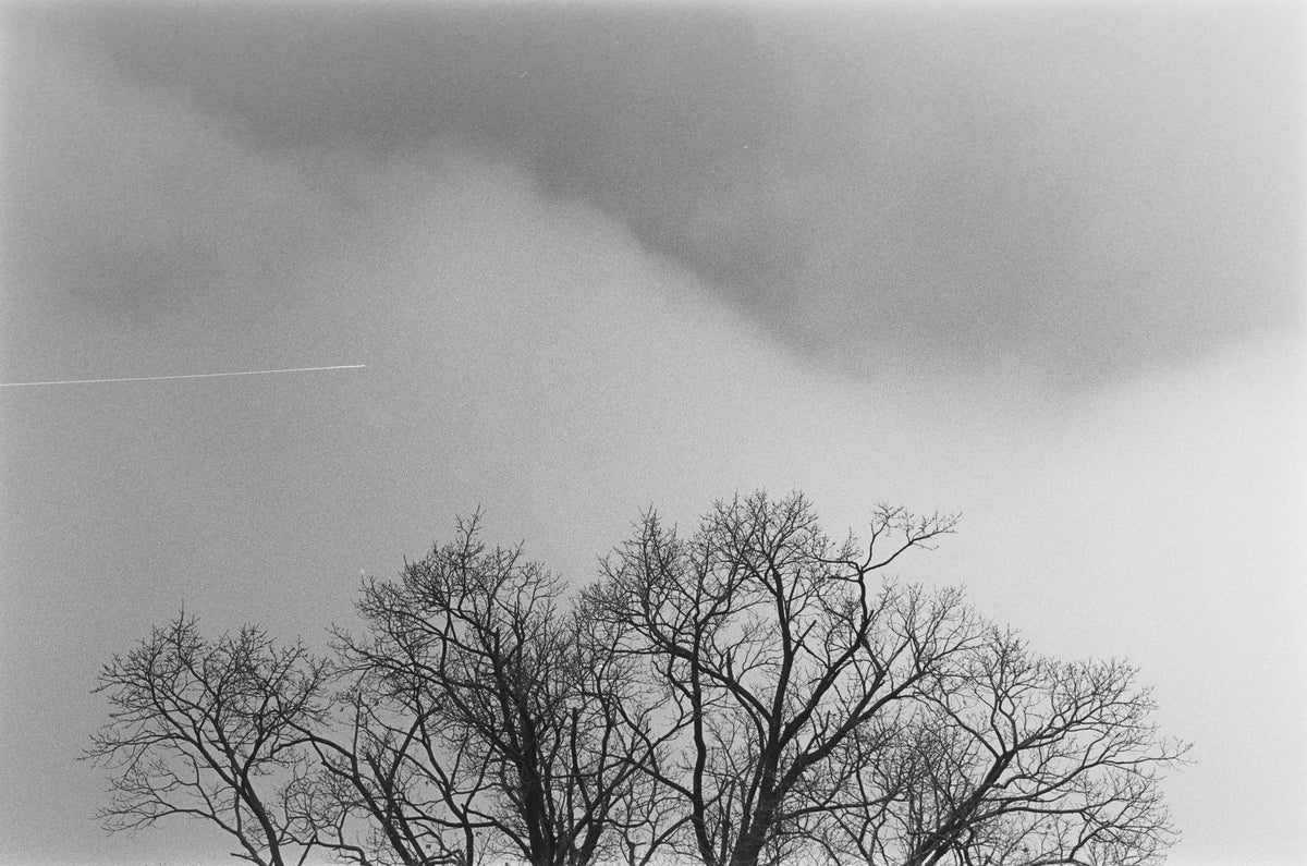 Photograph by Hyeongwoo Bak, Hillvale Photo Trophy 2026 entry #0049