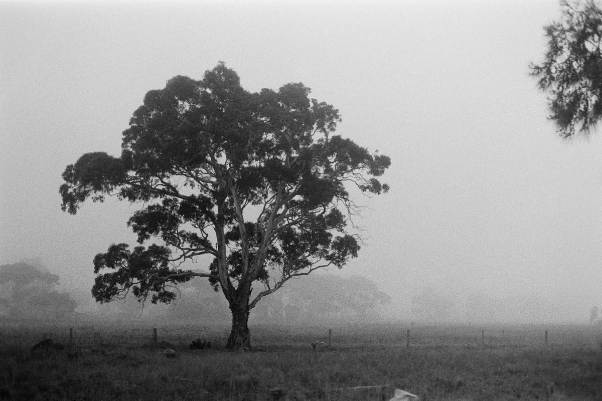 Photograph by Hyeongwoo Bak, Hillvale Photo Trophy 2026 entry #0051