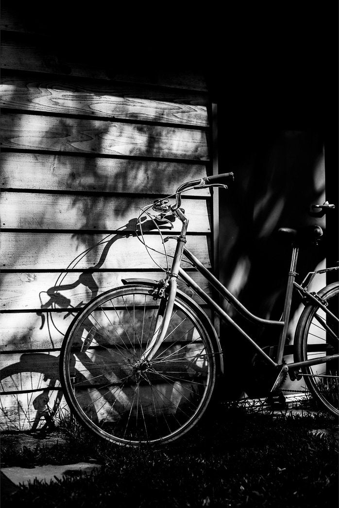 Photograph by Elisabeth Barrish, Hillvale Photo Trophy 2026 entry #0058