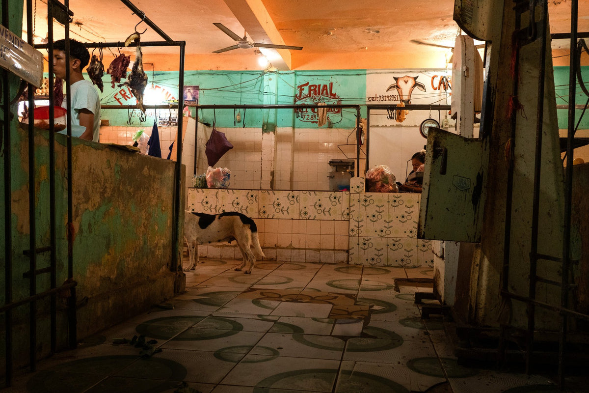 Photograph by Hugo Begg, Hillvale Photo Trophy 2026 entry #0064