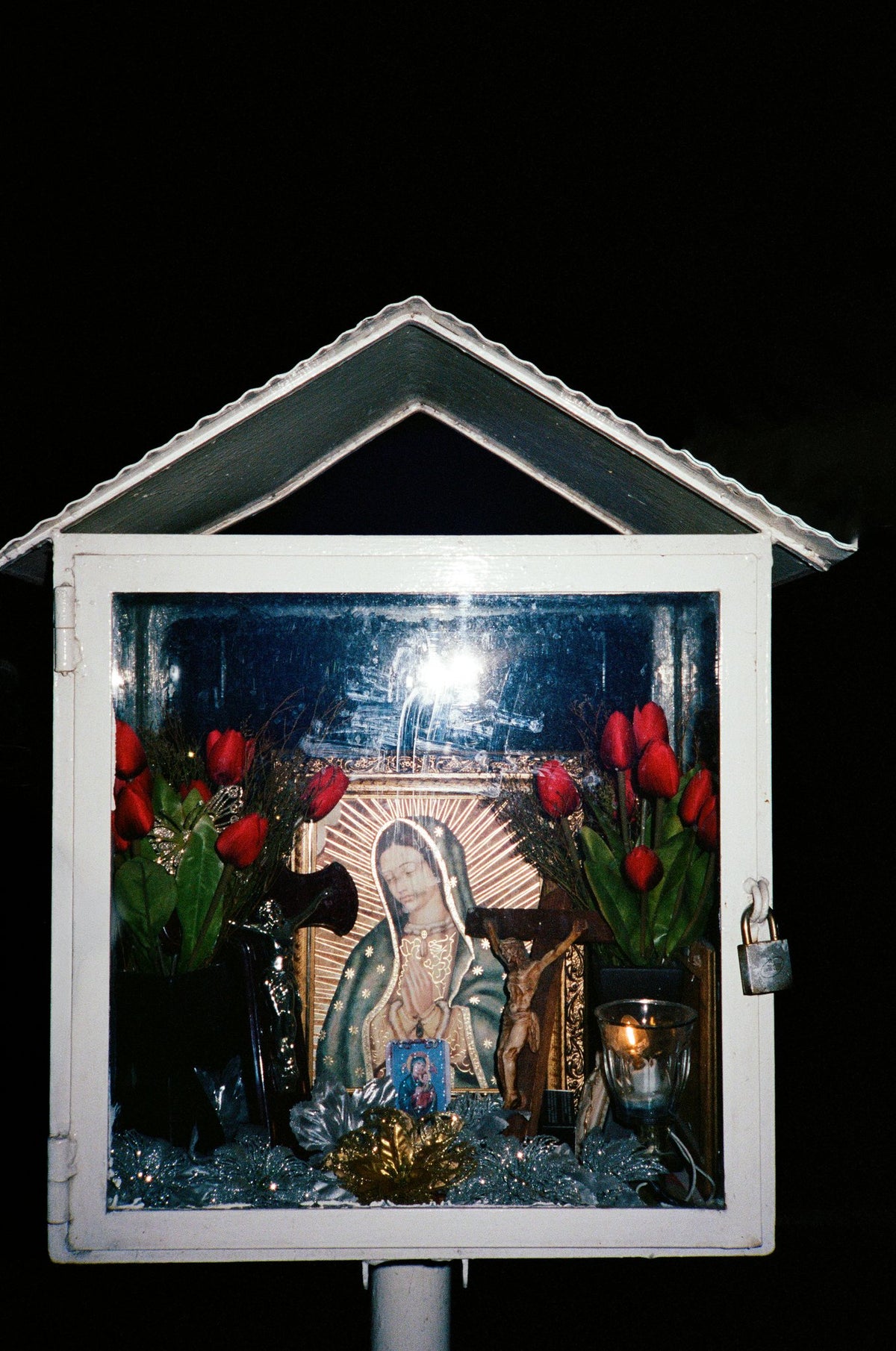 Photograph by Camille Cargill, Hillvale Photo Trophy 2026 entry #0123