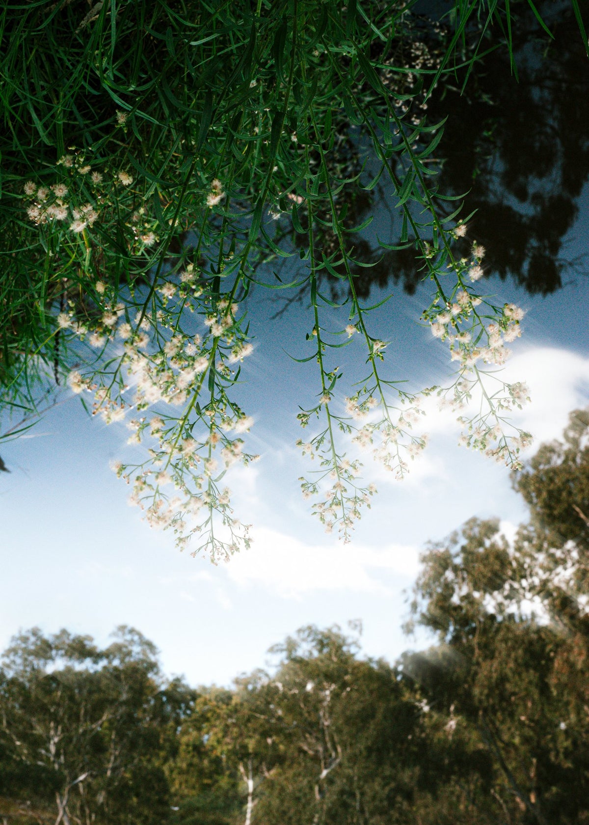Photograph by Jasmine Chalmers, Hillvale Photo Trophy 2026 entry #0131