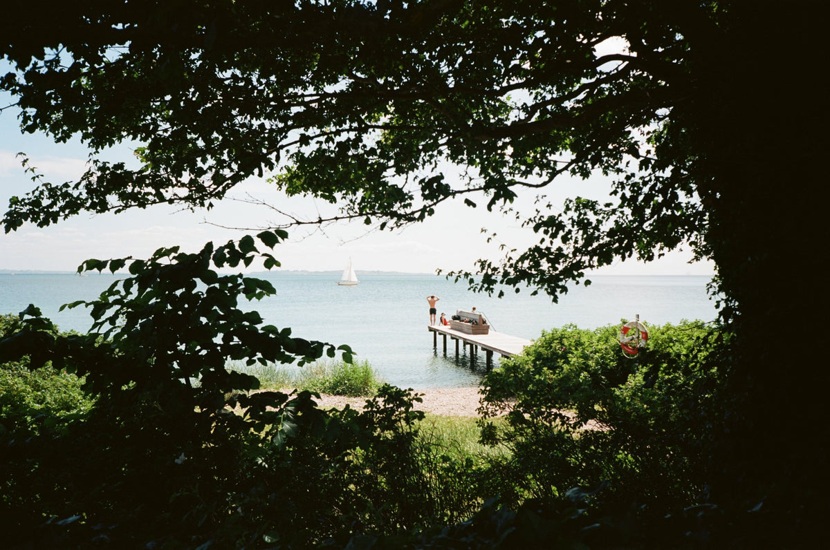Photograph by Anna Chen, Hillvale Photo Trophy 2026 entry #0139