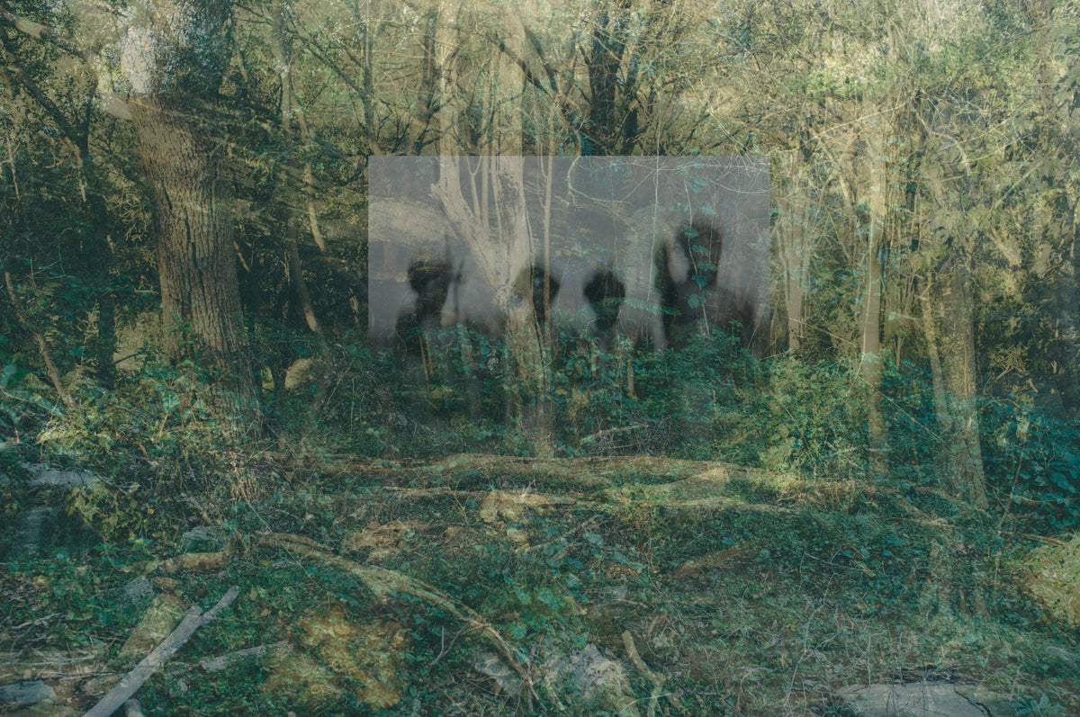 Photograph by Gordon Cullerne, Hillvale Photo Trophy 2026 entry #0186