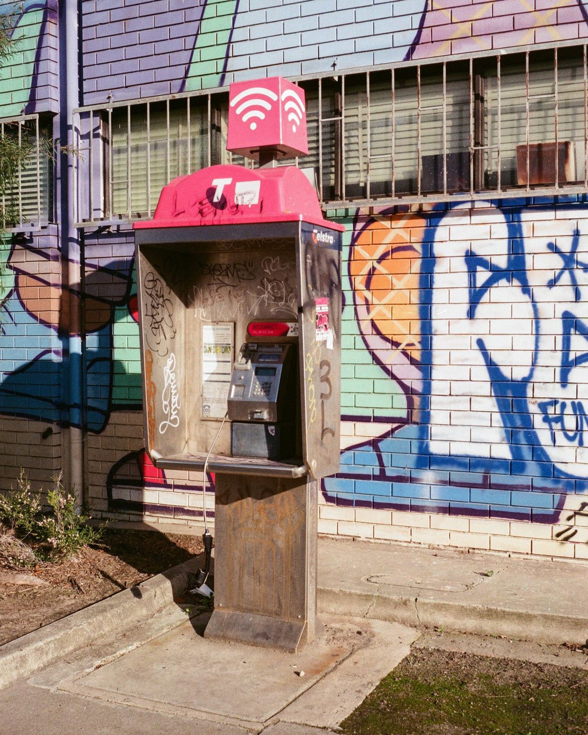 Photograph by Jude Cyil, Hillvale Photo Trophy 2026 entry #0189