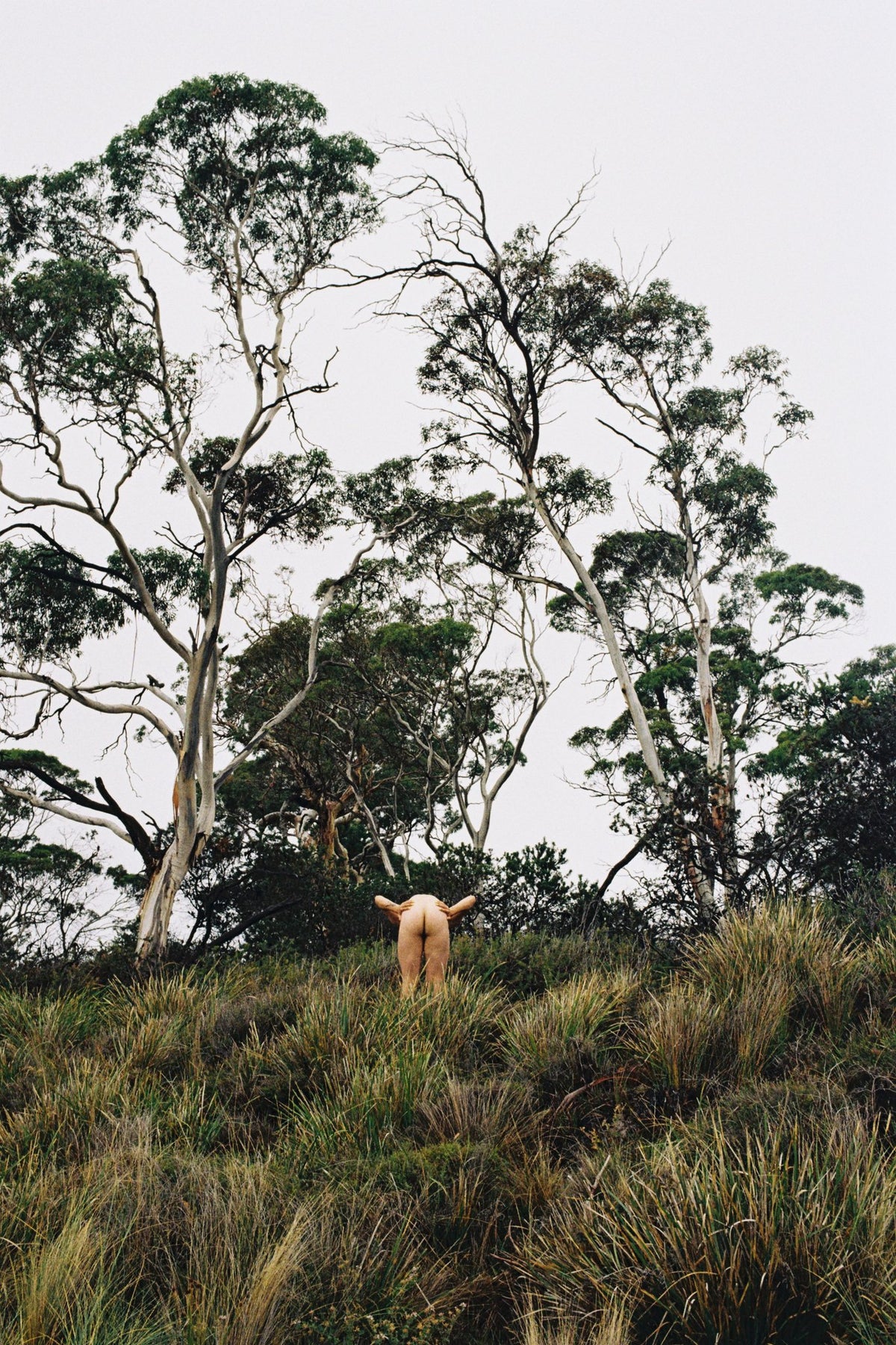 Photograph by J Davies, Hillvale Photo Trophy 2026 entry #0205