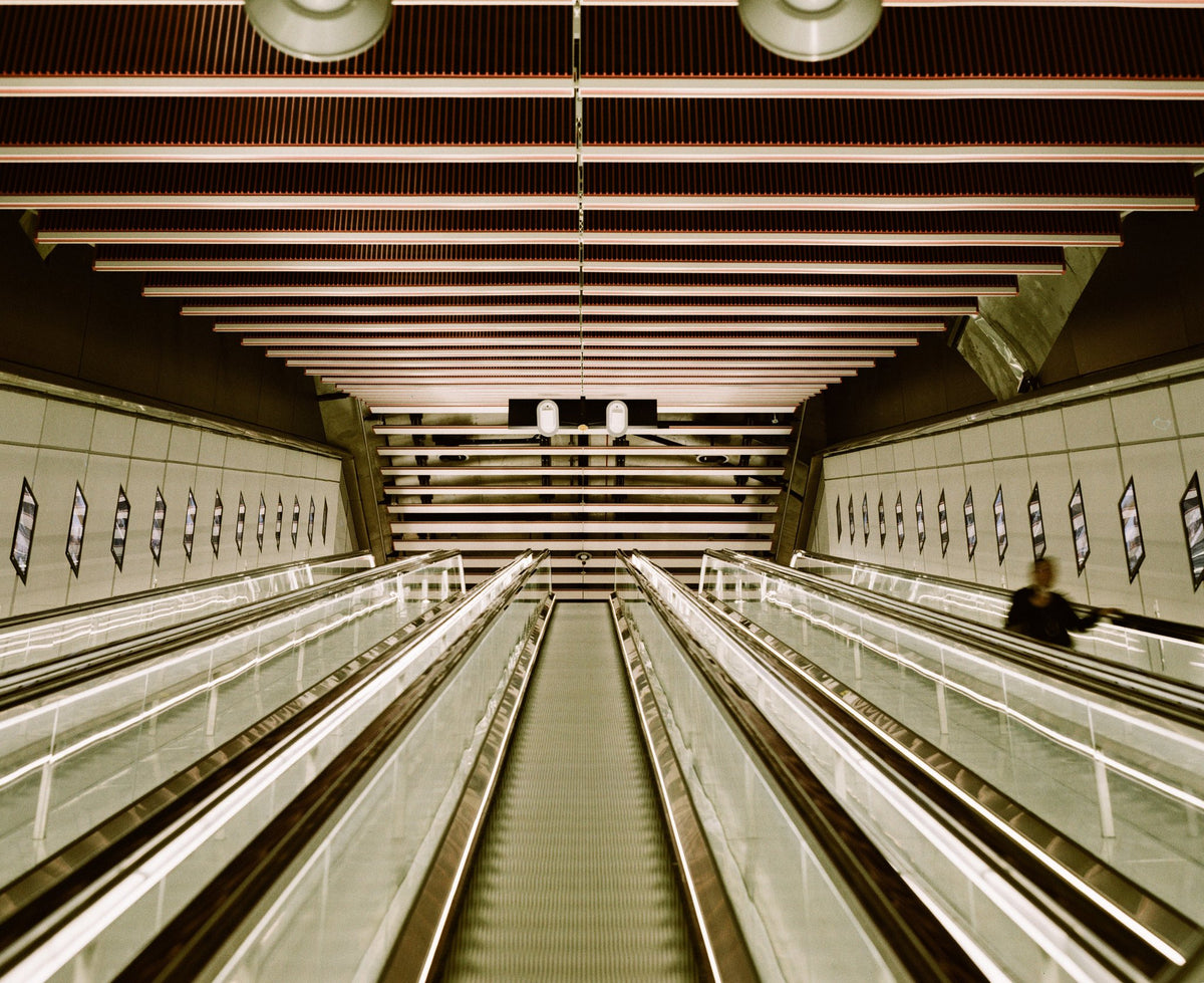 Photograph by Robert Ferrington, Hillvale Photo Trophy 2026 entry #0271