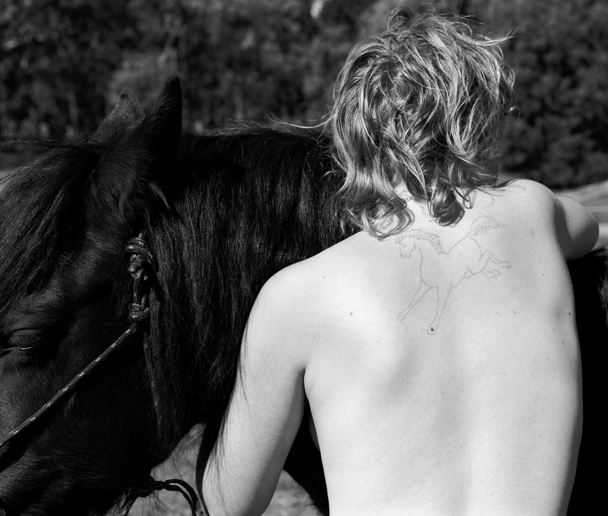 Photograph by Bridie Fitzgerald, Hillvale Photo Trophy 2026 entry #0277