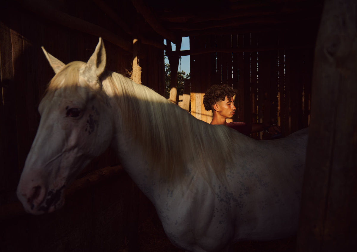 Photograph by Jackson Gallagher, Hillvale Photo Trophy 2026 entry #0301