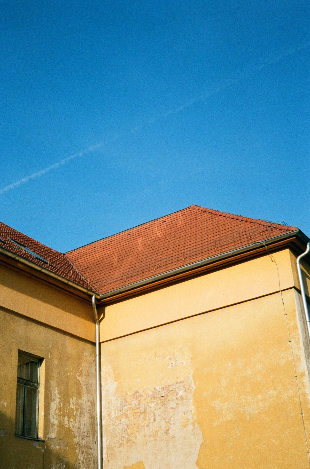 Photograph by Ruth Game, Hillvale Photo Trophy 2026 entry #0305