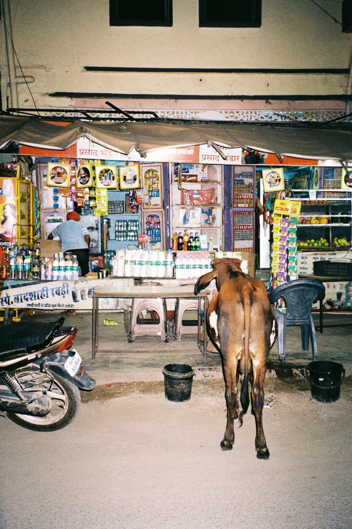 Photograph by Caroline Gaskell, Hillvale Photo Trophy 2026 entry #0312