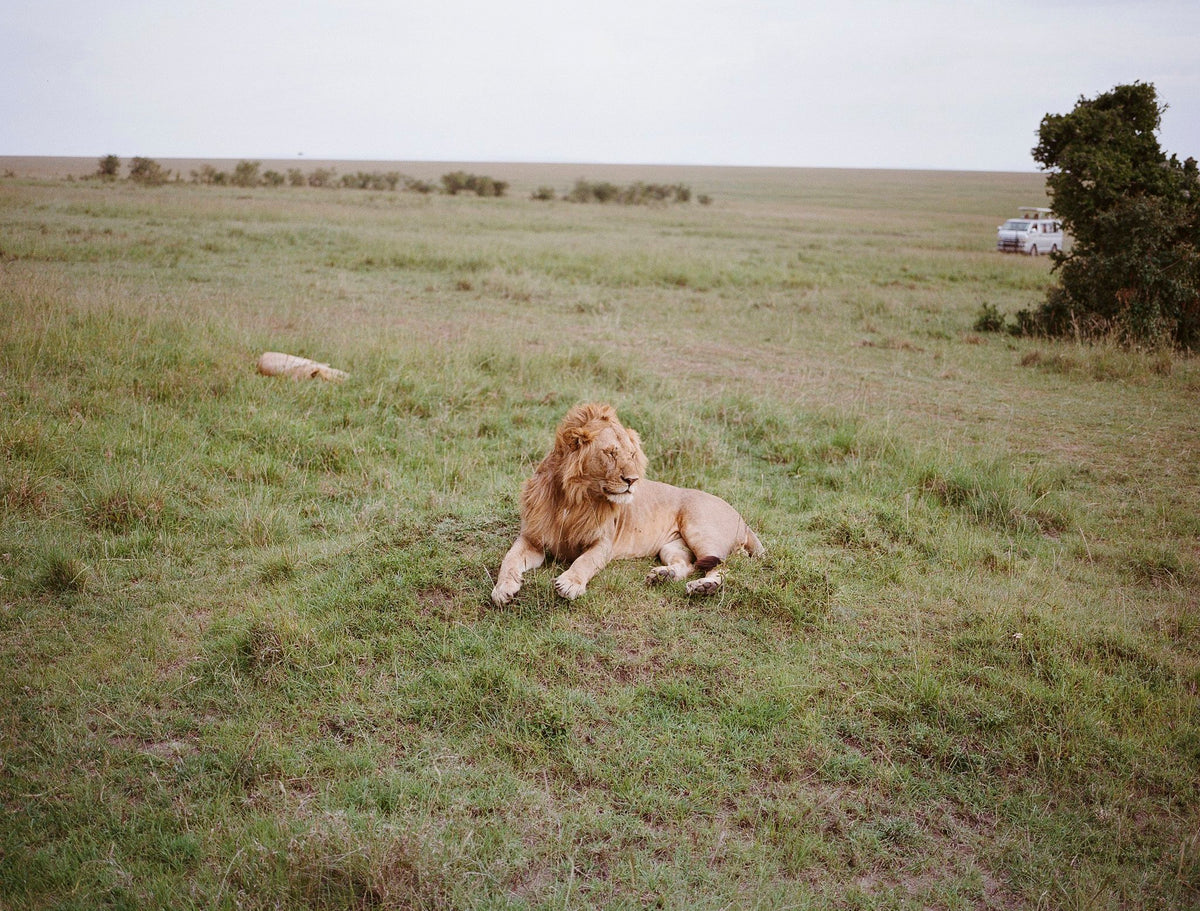 Photograph by Ben Hattingh, Hillvale Photo Trophy 2026 entry #0401