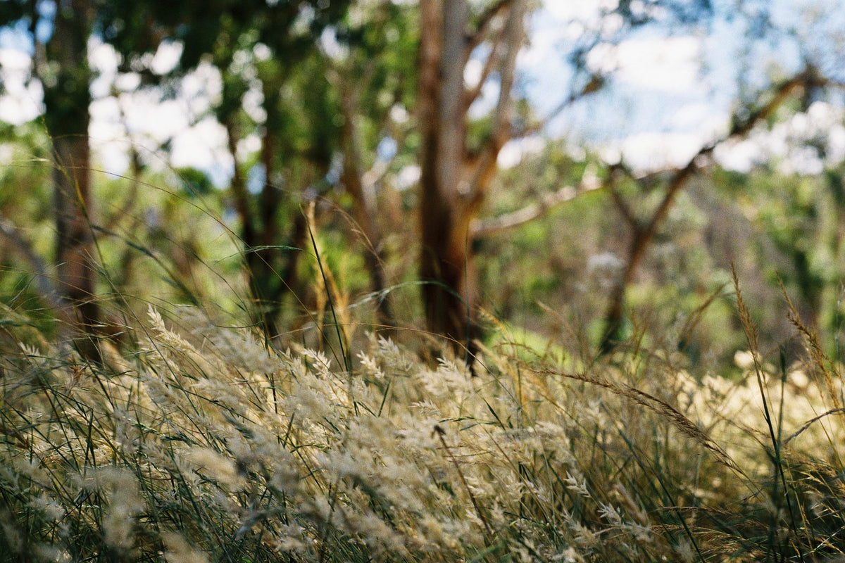 Photograph by Emma Holder, Hillvale Photo Trophy 2026 entry #0413
