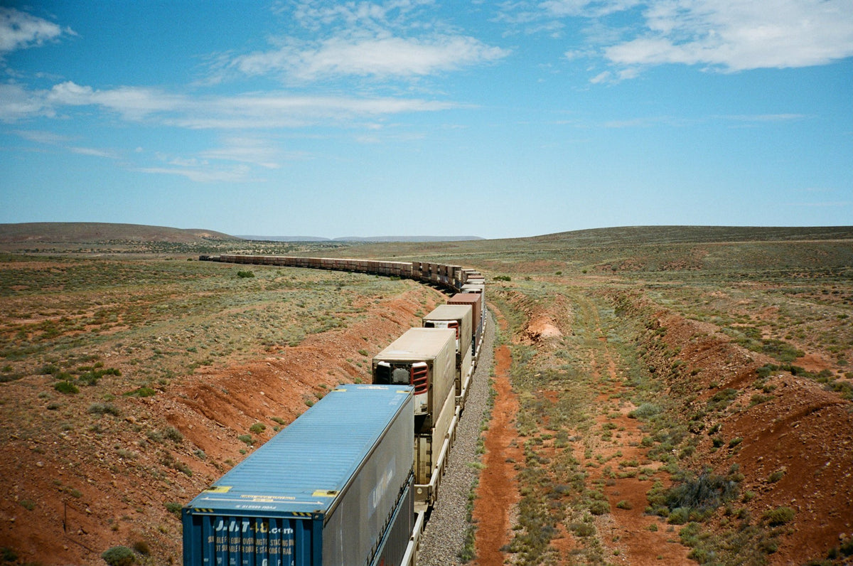 Photograph by William Horan, Hillvale Photo Trophy 2026 entry #0421