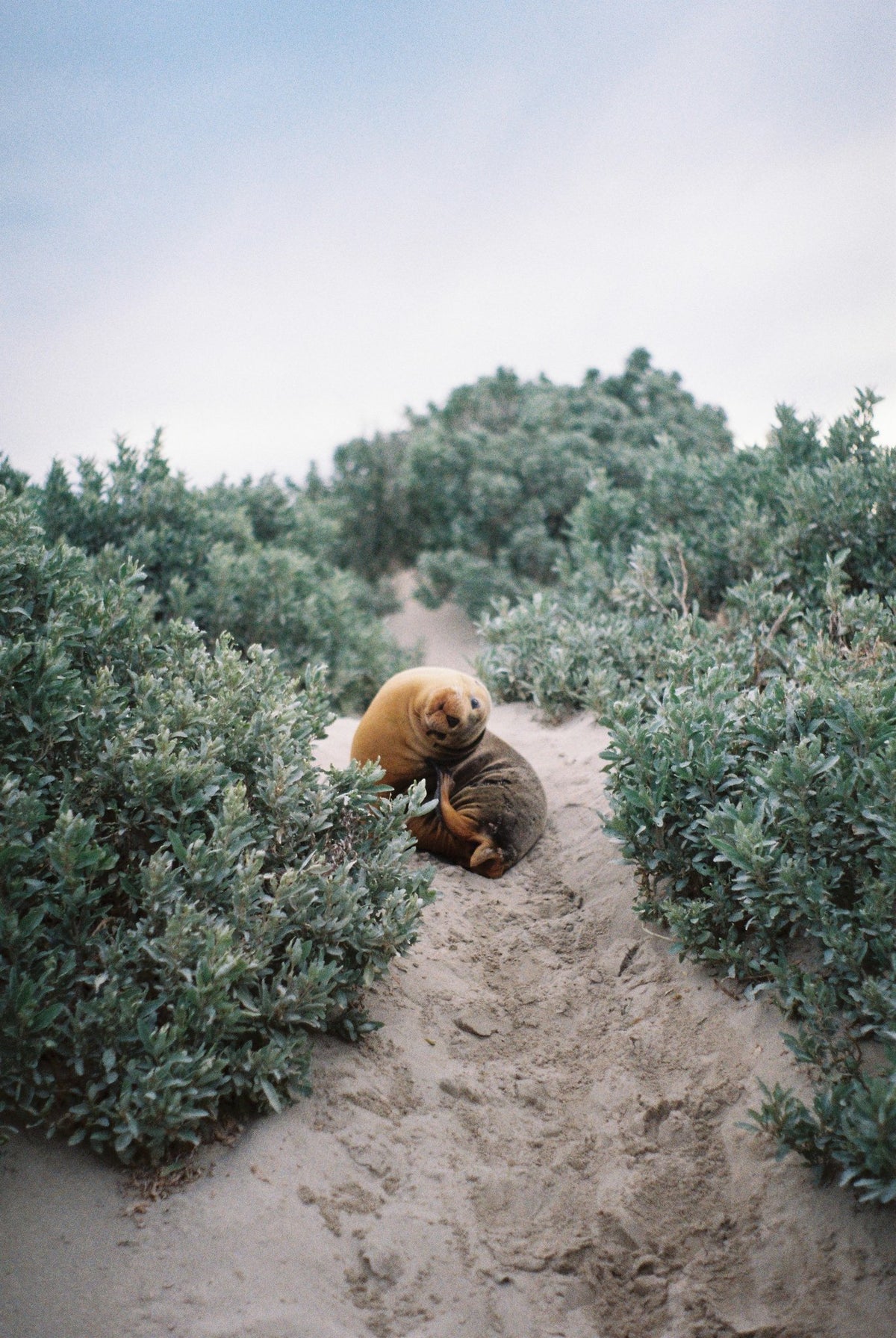 Photograph by Bodie Howell, Hillvale Photo Trophy 2026 entry #0427