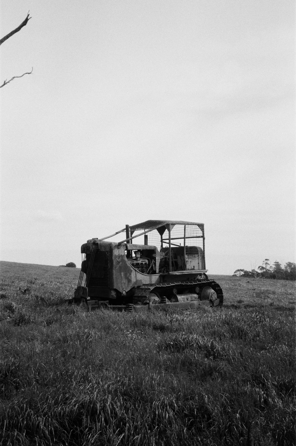 Photograph by William Karras, Hillvale Photo Trophy 2026 entry #0465