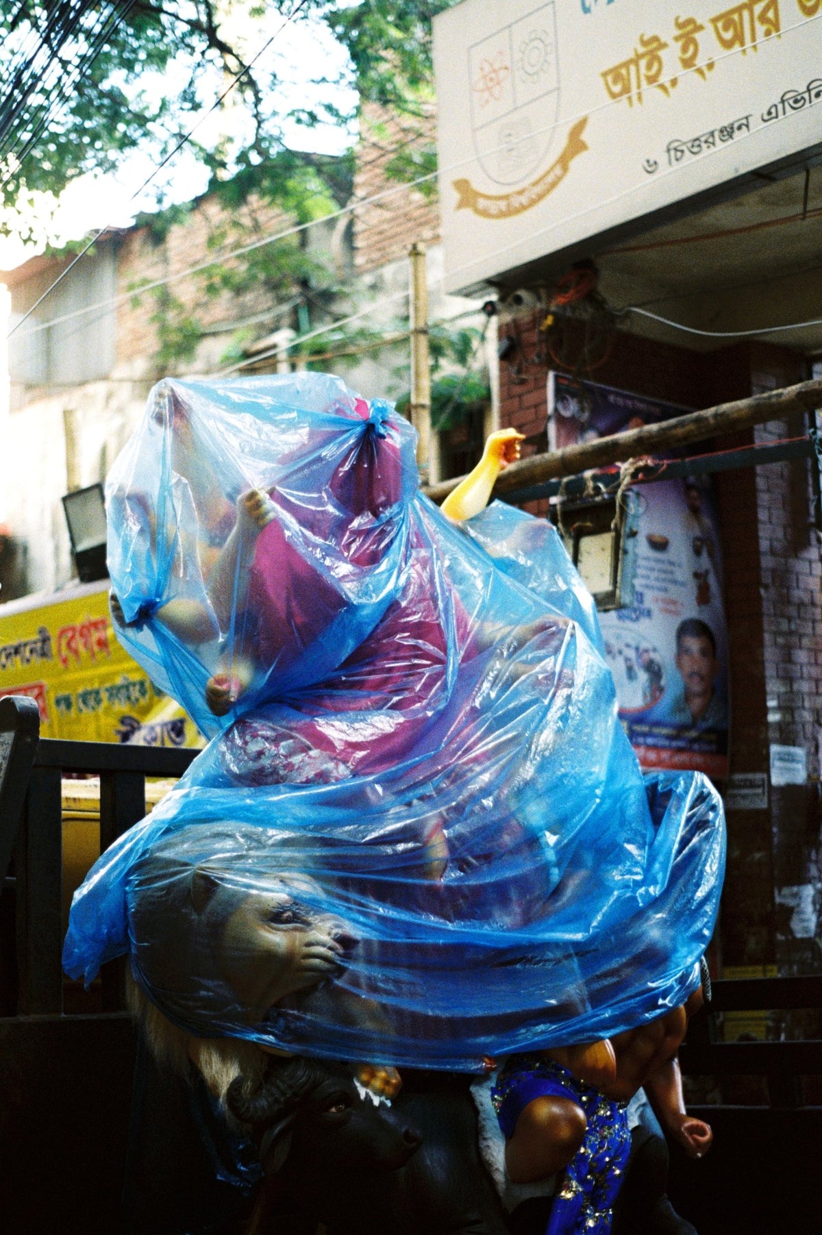 Photograph by Nick McLean, Hillvale Photo Trophy 2026 entry #0572