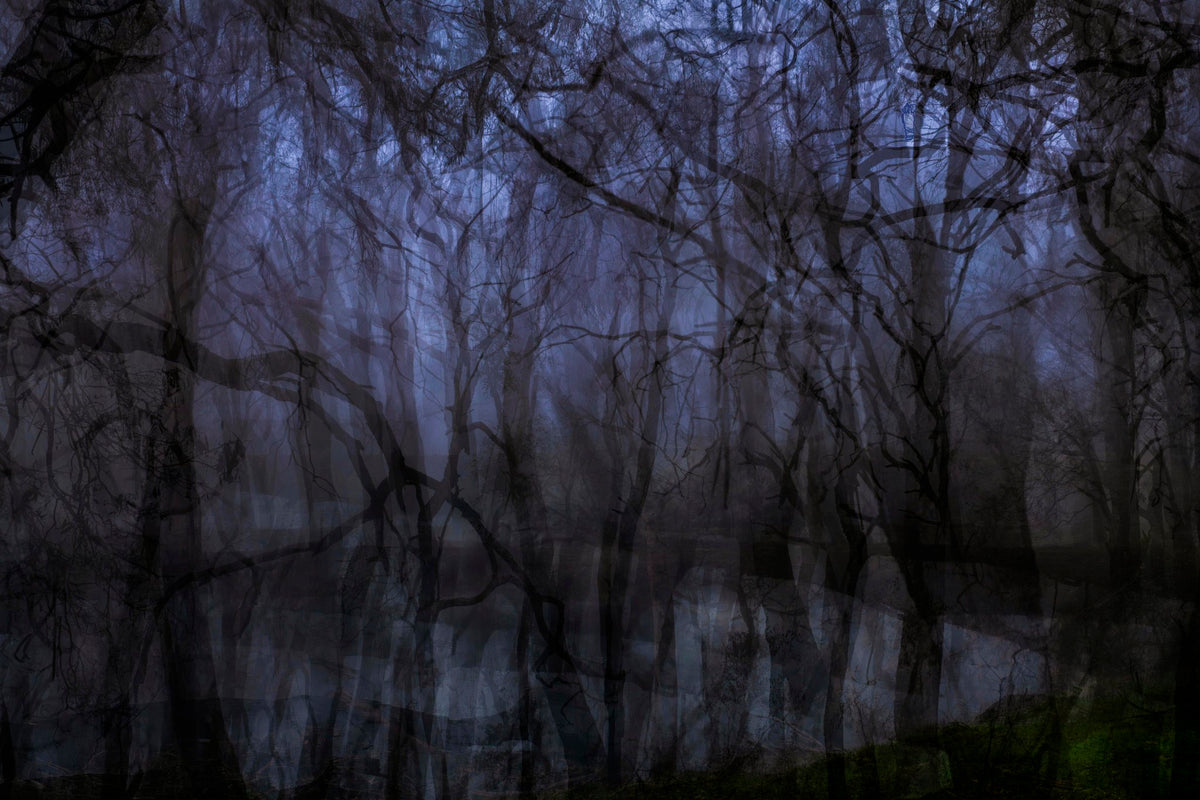 Photograph by Julie Millowick, Hillvale Photo Trophy 2026 entry #0589