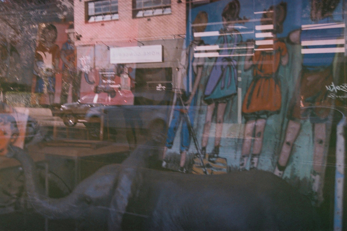 Photograph by Richard Munro, Hillvale Photo Trophy 2026 entry #0622