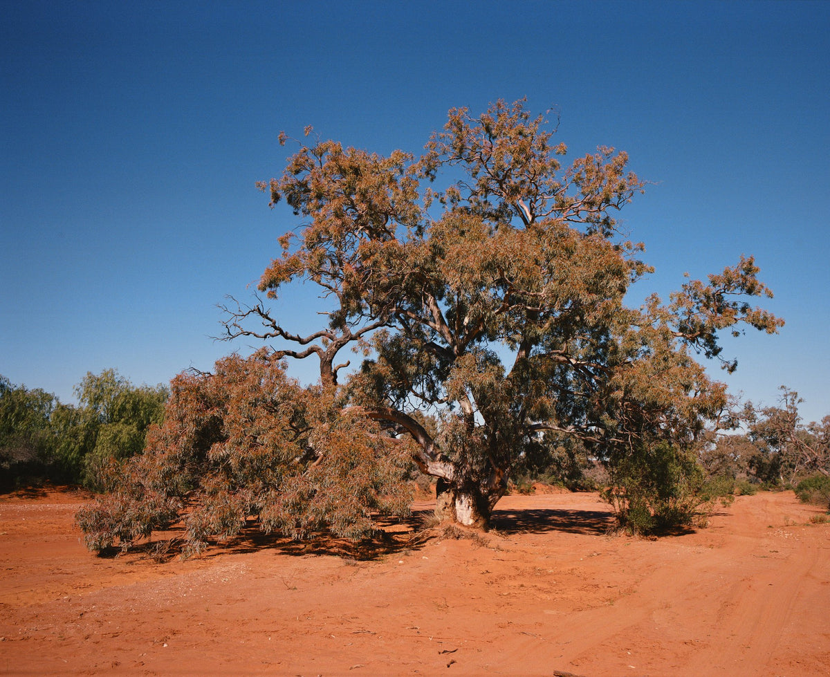Photograph by Britt Murphy, Hillvale Photo Trophy 2026 entry #0626