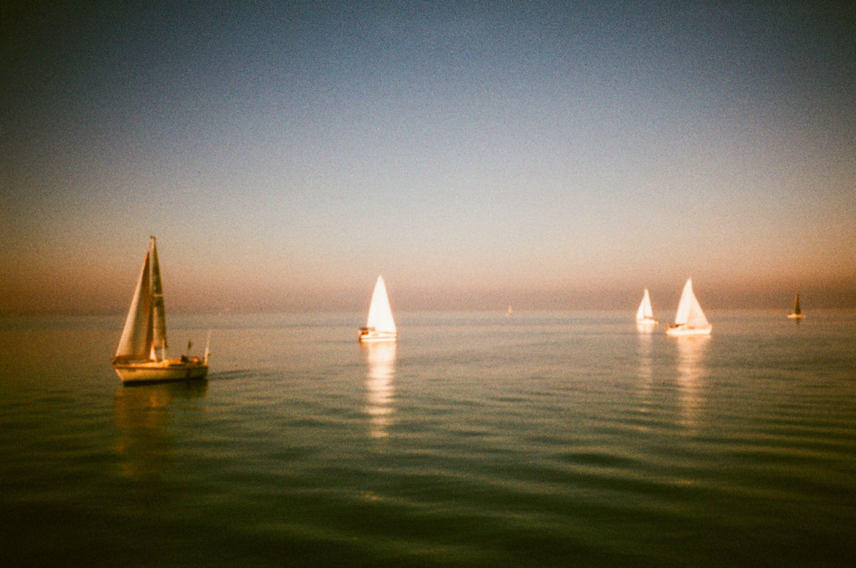 Photograph by Minh Nguyen, Hillvale Photo Trophy 2026 entry #0643