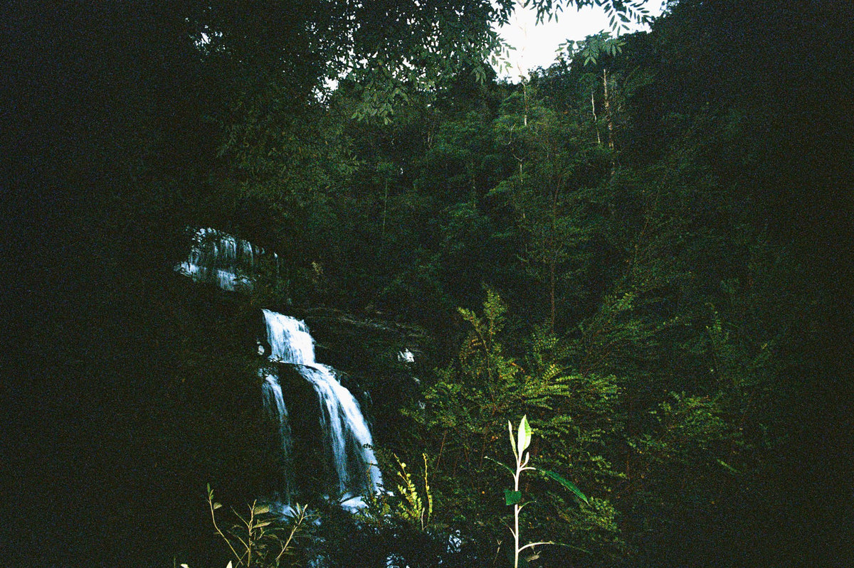 Photograph by Faith O'Connor Ludowyke, Hillvale Photo Trophy 2026 entry #0650