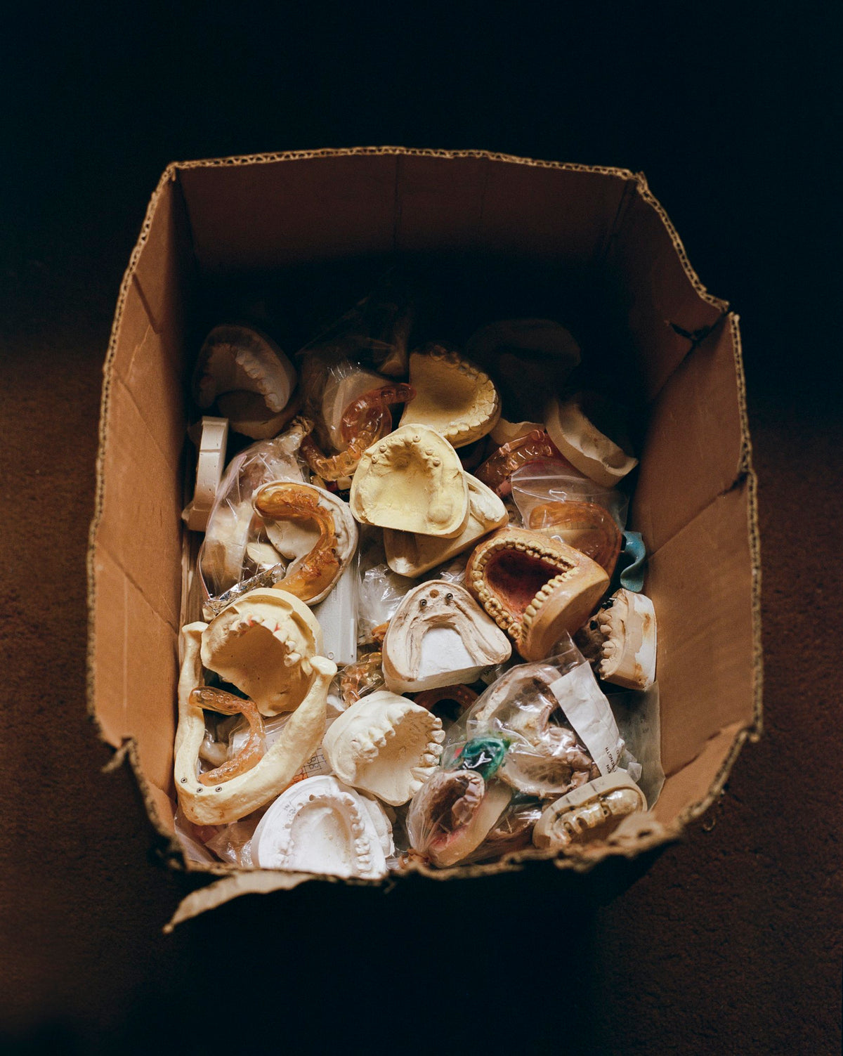 Photograph by Emma Perry, Hillvale Photo Trophy 2026 entry #0701