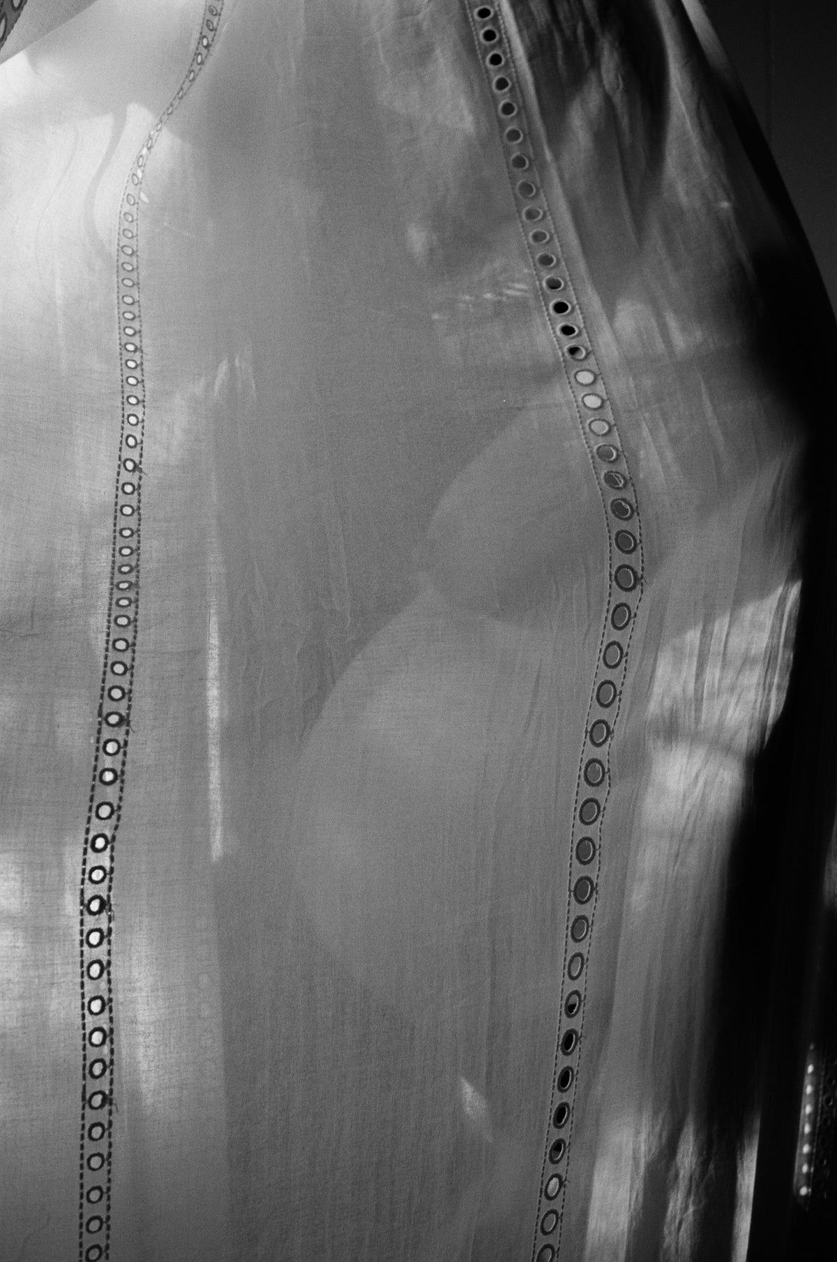Photograph by Alex Quinlan, Hillvale Photo Trophy 2026 entry #0734
