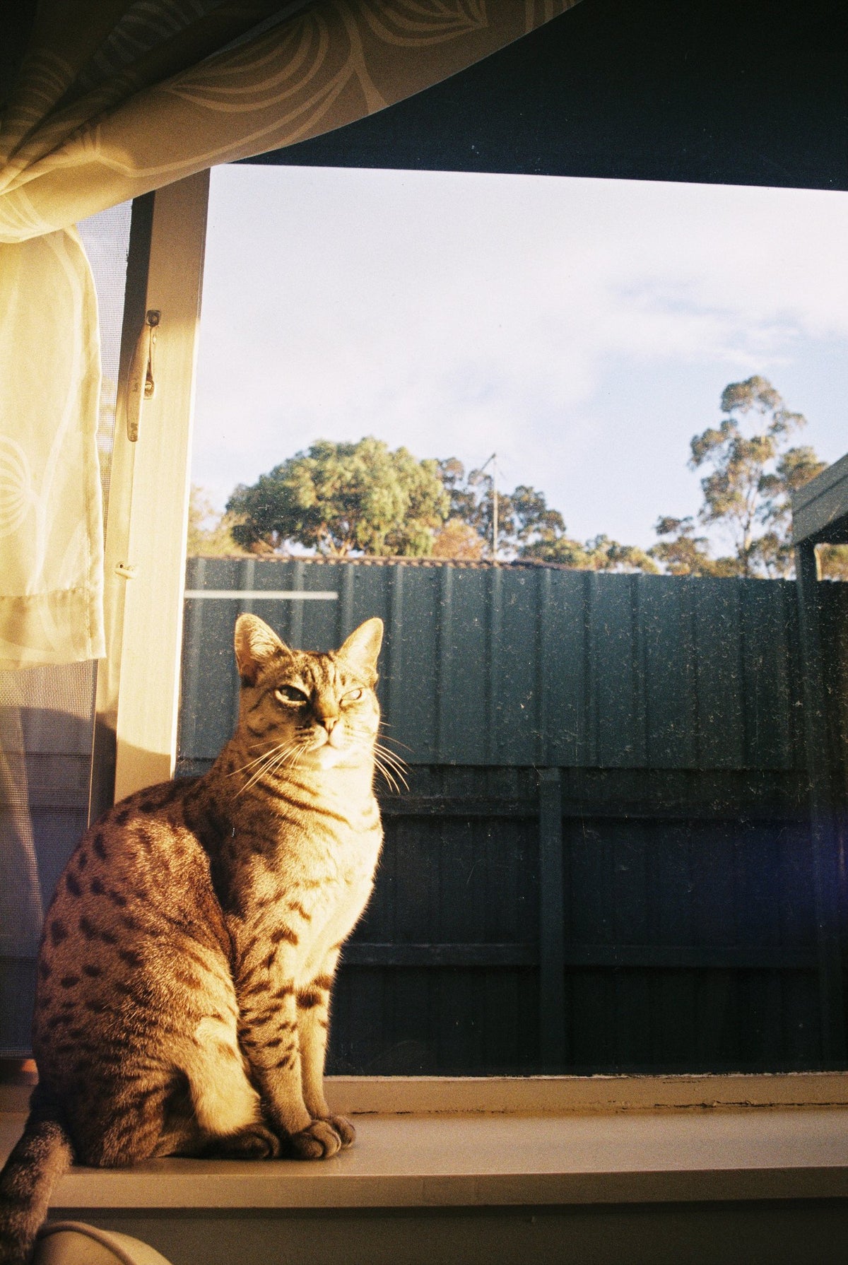Photograph by Juliette Sherriff, Hillvale Photo Trophy 2026 entry #0809