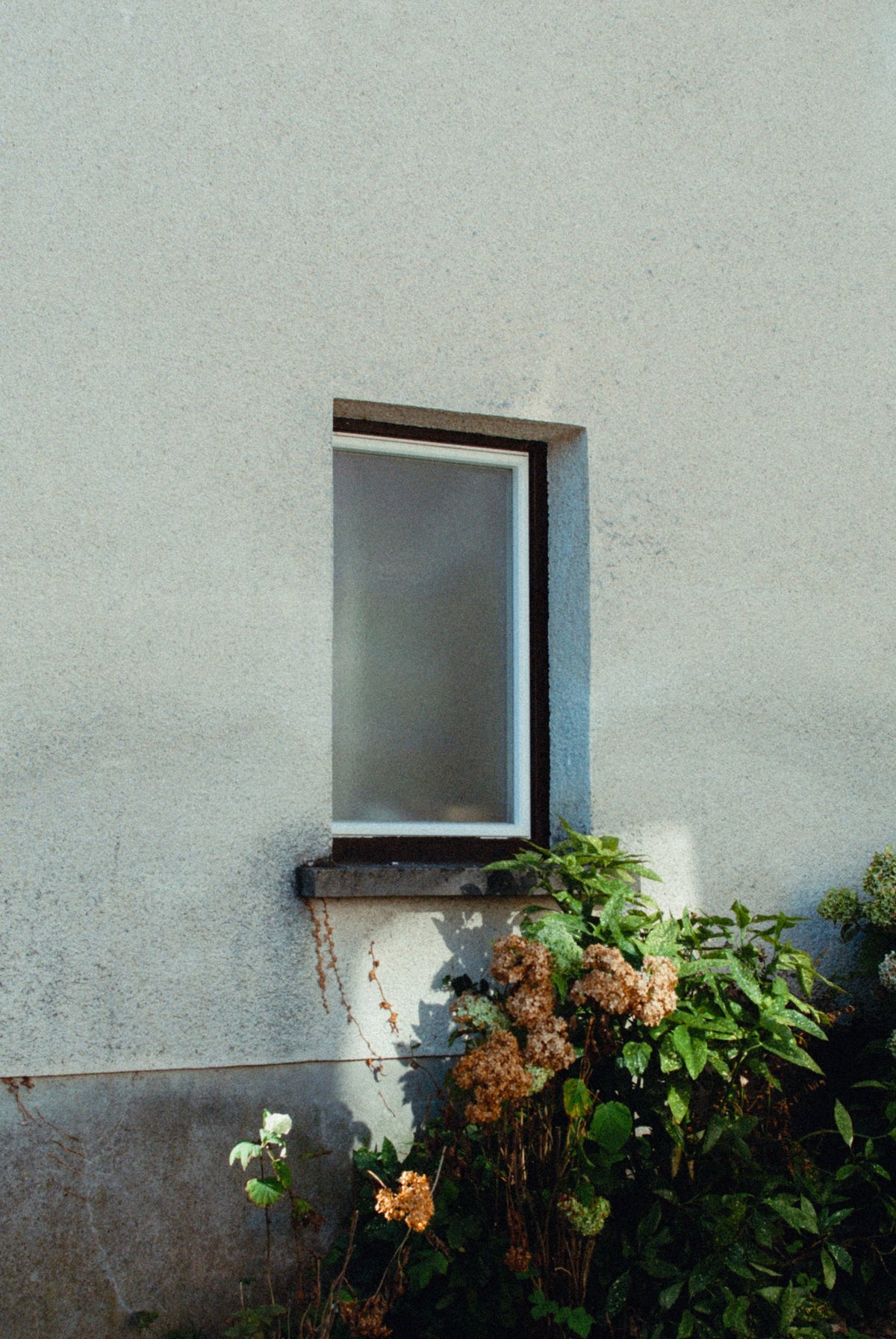 Photograph by Matej Turk, Hillvale Photo Trophy 2026 entry #0928