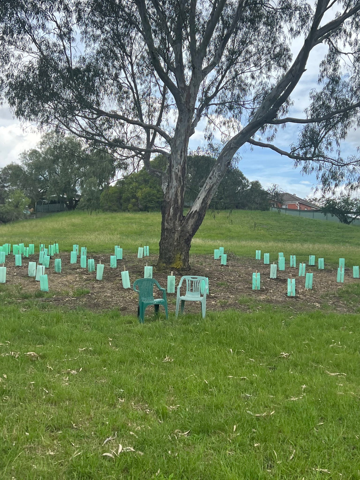 Photograph by Caitlin Turner, Hillvale Photo Trophy 2026 entry #0930