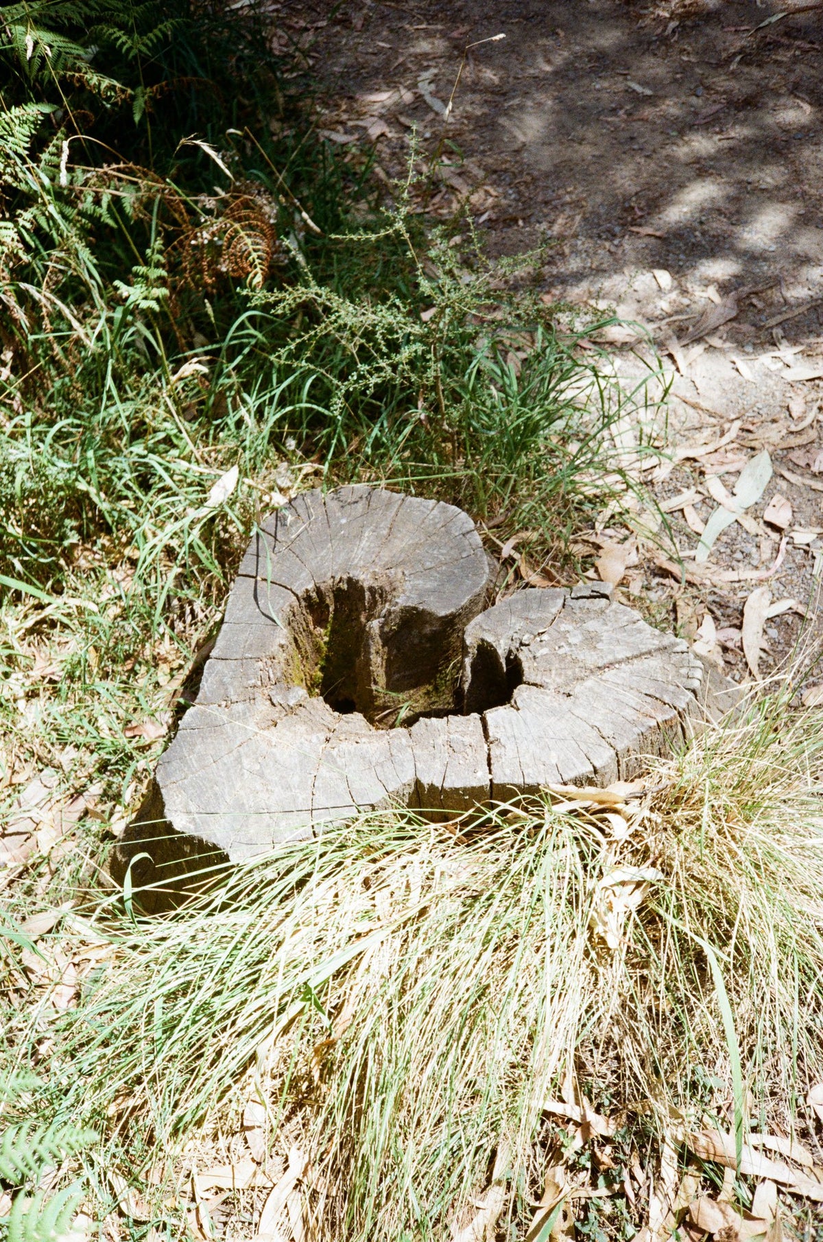 Photograph by Koen Van Rijn, Hillvale Photo Trophy 2026 entry #0940