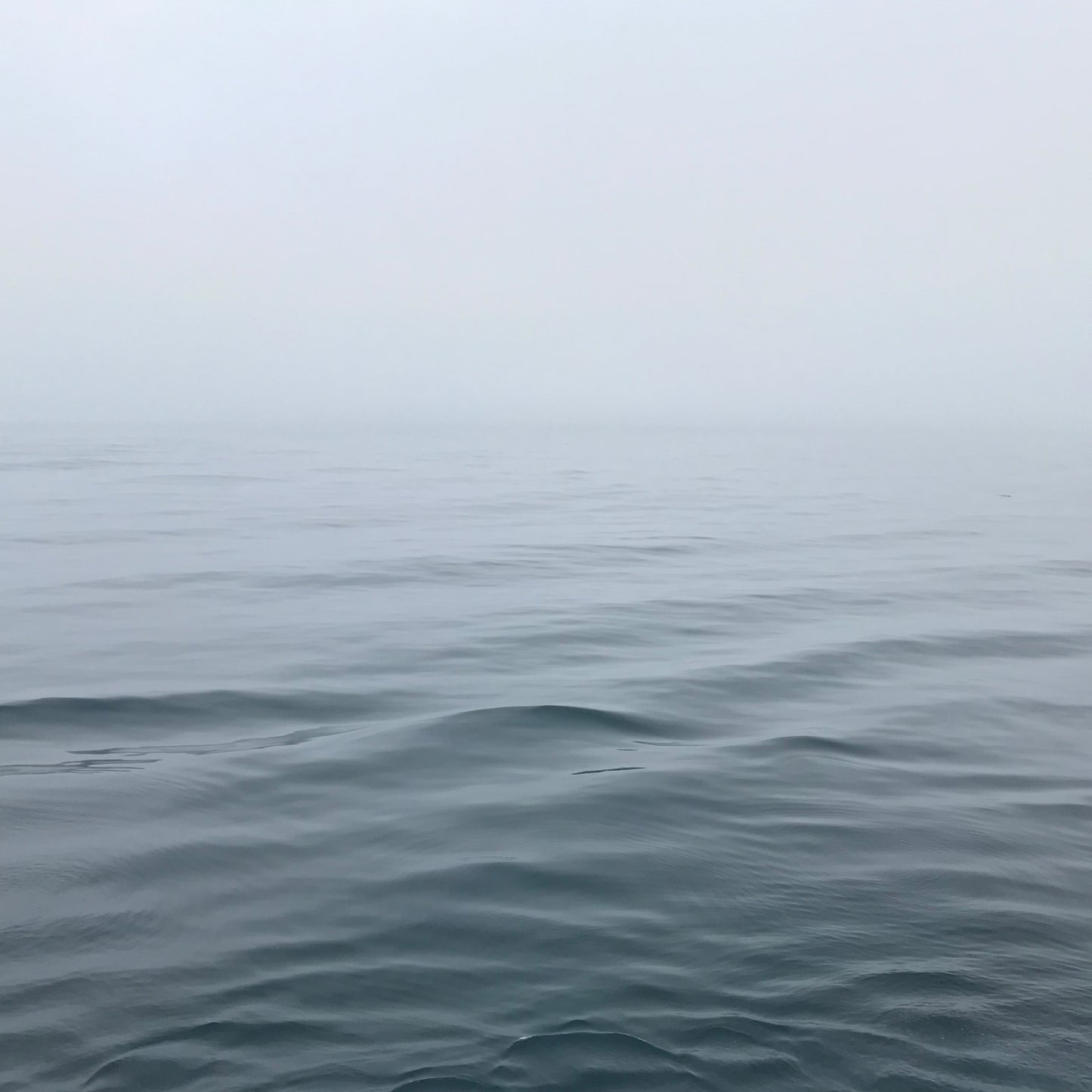 813