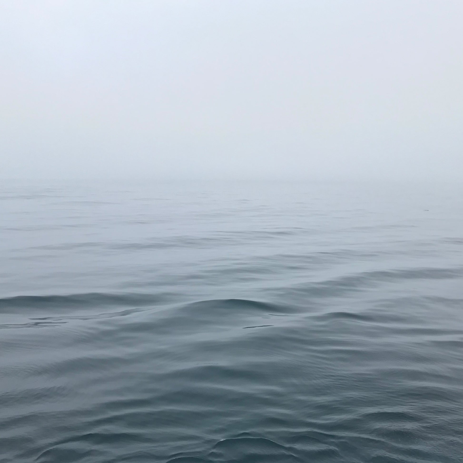 813