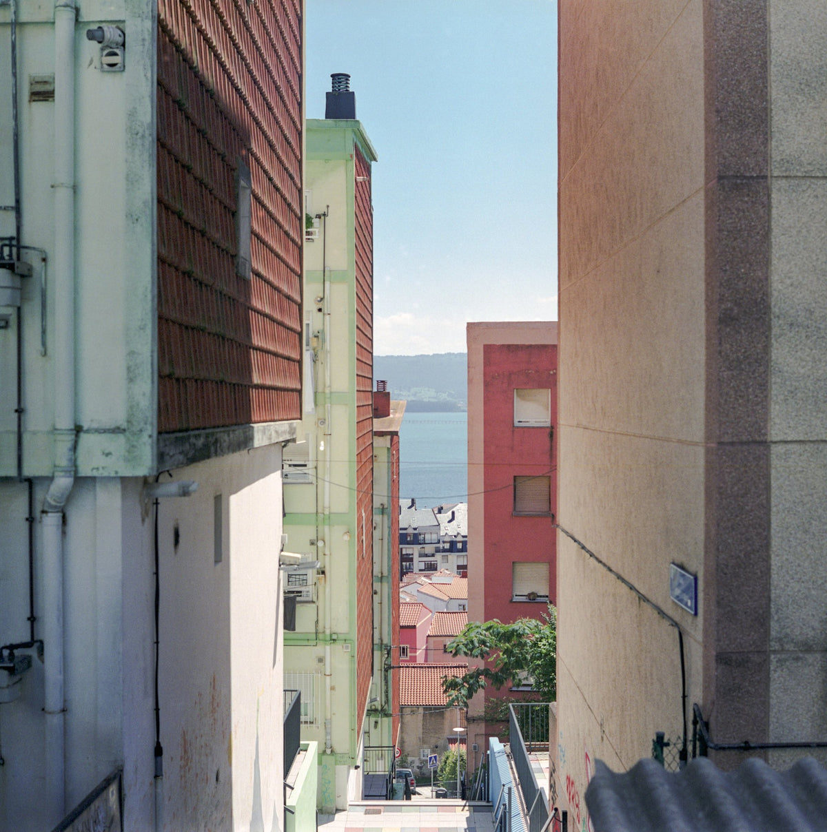 Photograph by Véra Ada, Hillvale Photo Trophy 2026 entry #0003
