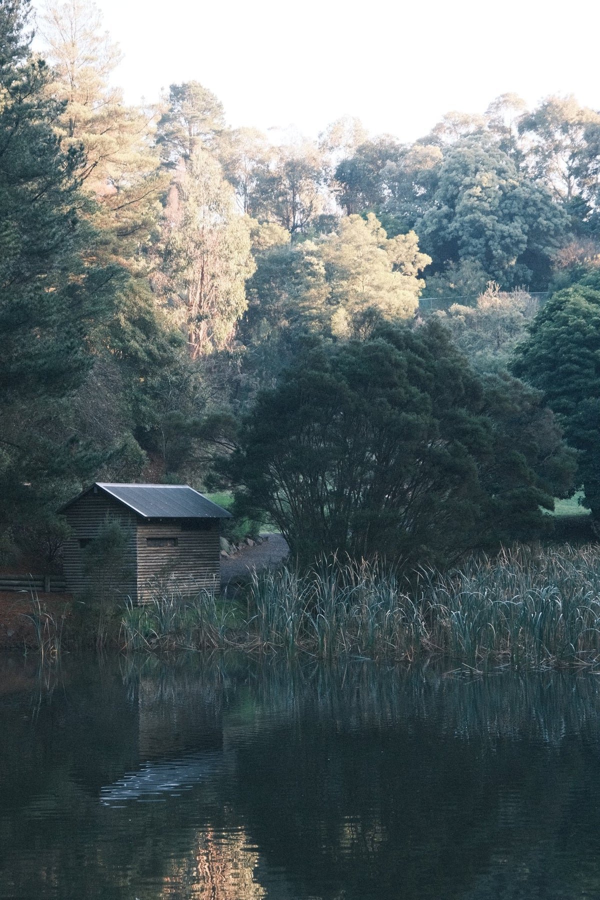 Photograph by Gregory Allan, Hillvale Photo Trophy 2026 entry #0017