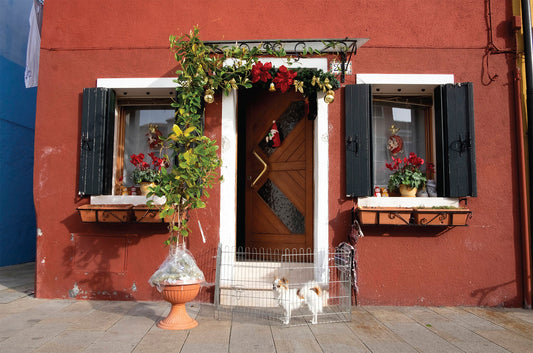 Photograph by Jessie & Rob DiBlasi Gale, Hillvale Photo Trophy 2026 entry #0027