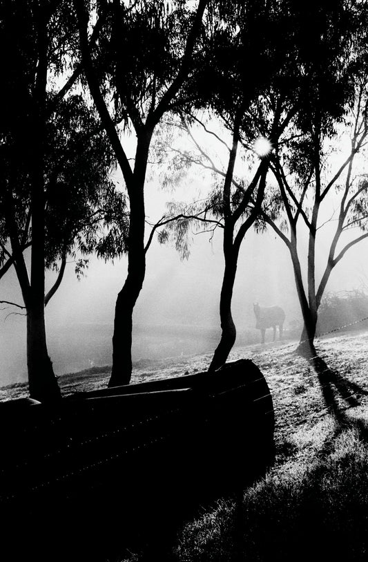 Photograph by Brandon Argent, Hillvale Photo Trophy 2026 entry #0040