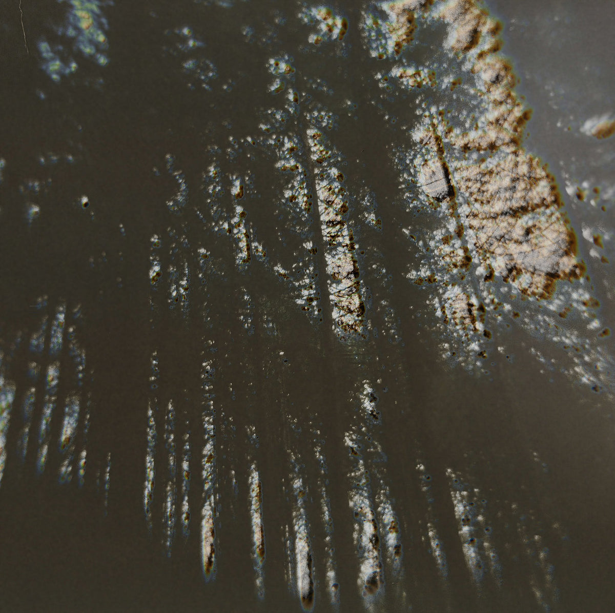 Photograph by Olga Astakhova, Hillvale Photo Trophy 2026 entry #0041