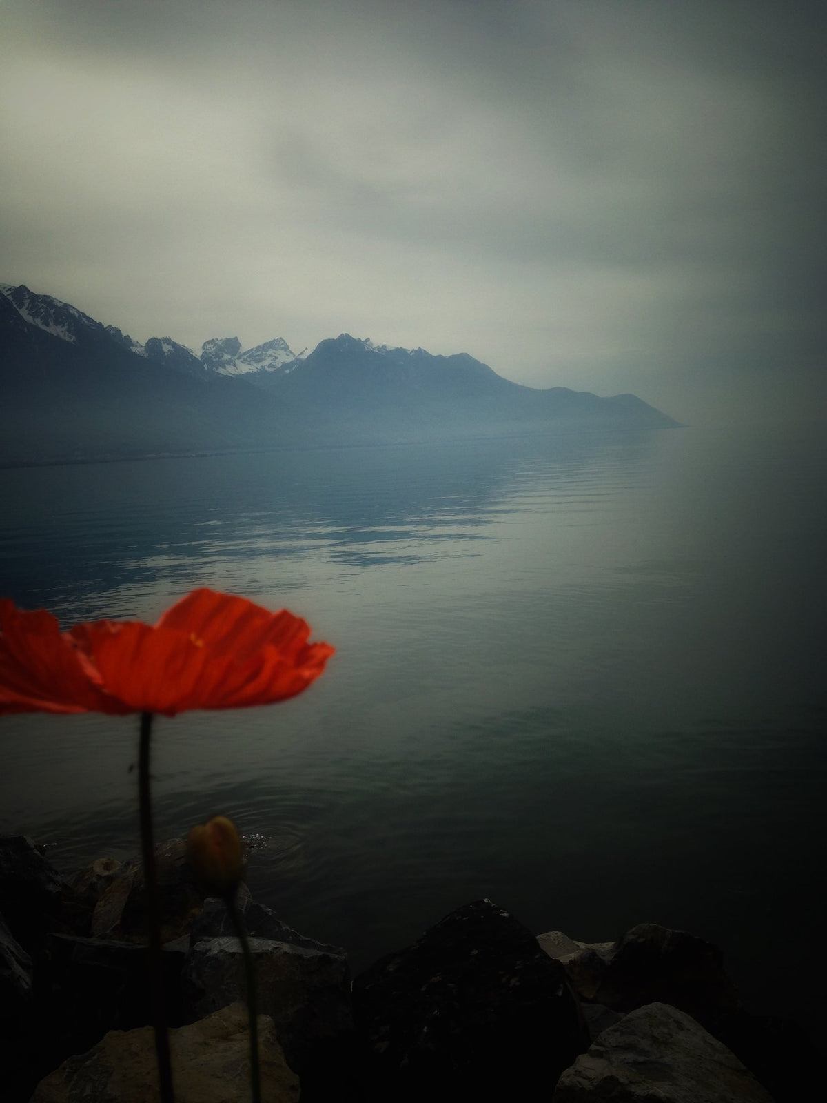 Photograph by Julie Atkinson, Hillvale Photo Trophy 2026 entry #0045