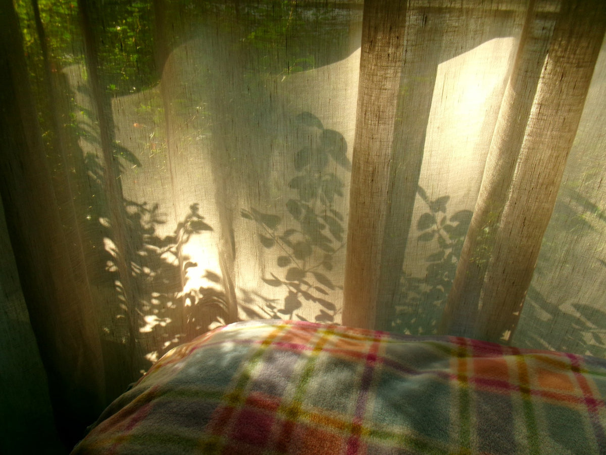 Photograph by Amber Baensch, Hillvale Photo Trophy 2026 entry #0048