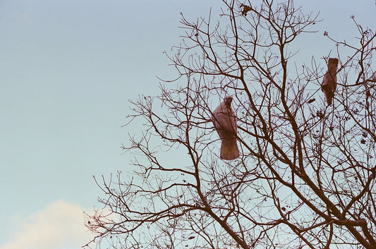 Photograph by Viviana Barrero, Hillvale Photo Trophy 2026 entry #0055