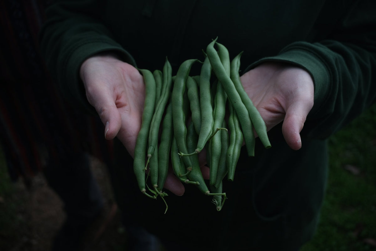 Photograph by Amelia Bartils, Hillvale Photo Trophy 2026 entry #0059