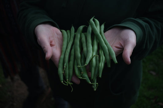 Photograph by Amelia Bartils, Hillvale Photo Trophy 2026 entry #0059
