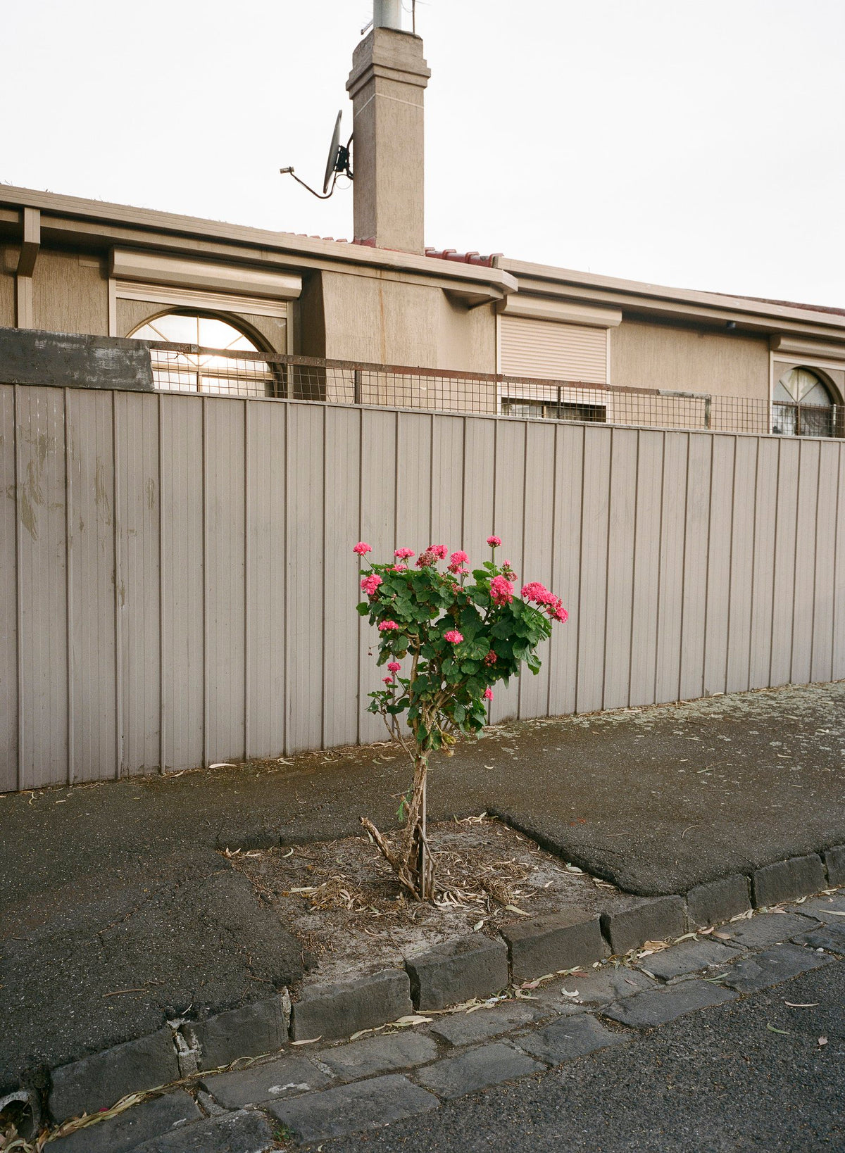 Photograph by Melvin Berzamina, Hillvale Photo Trophy 2026 entry #0076