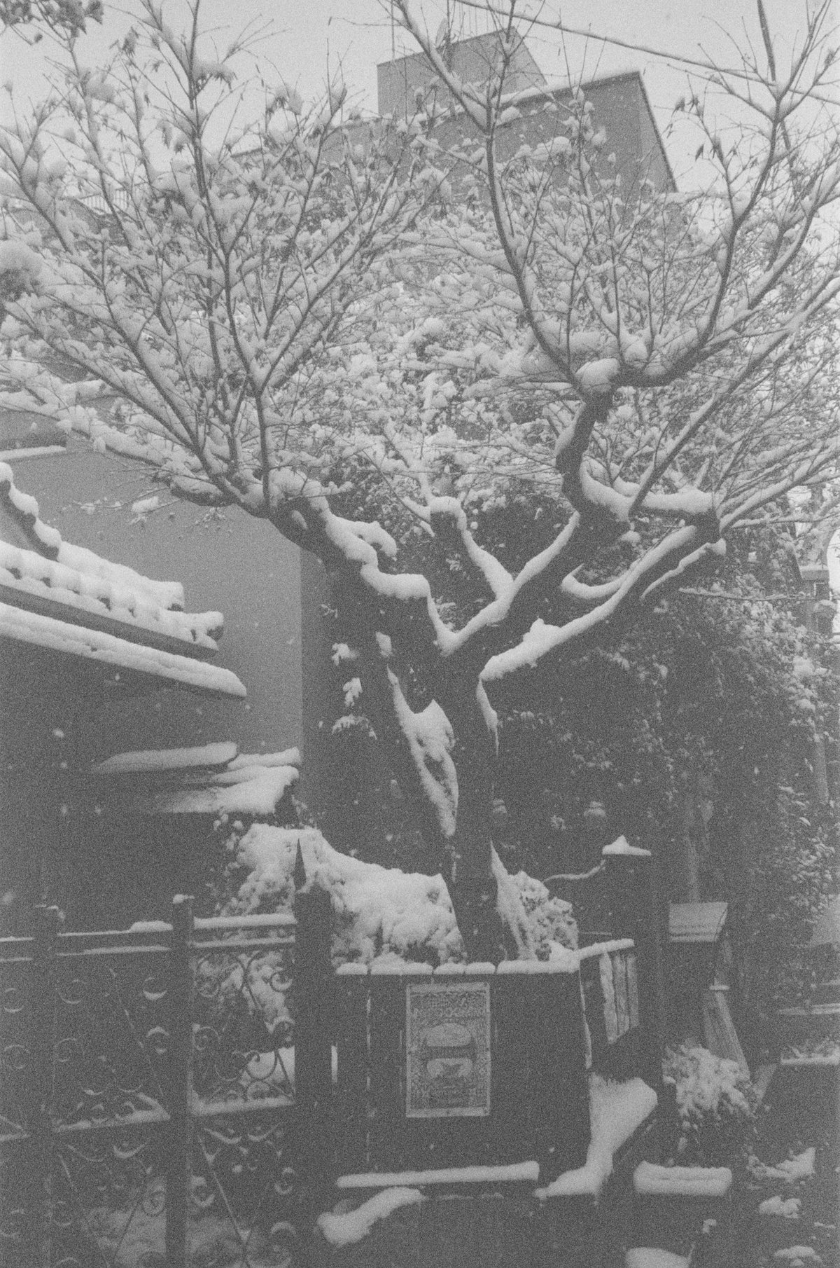 Photograph by Cooper Bowman, Hillvale Photo Trophy 2026 entry #0095