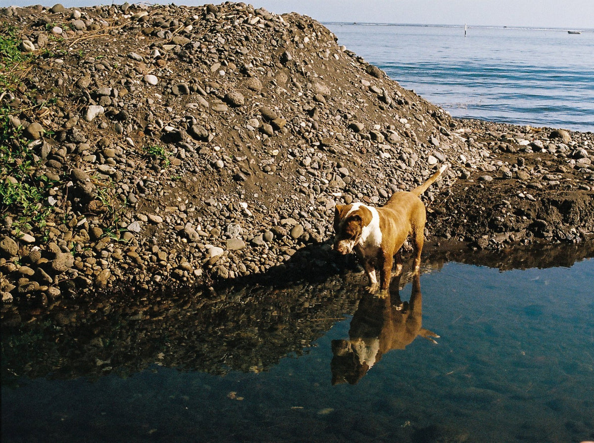 Photograph by Joe Byrne, Hillvale Photo Trophy 2026 entry #0110
