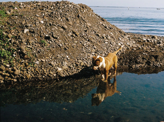 Photograph by Joe Byrne, Hillvale Photo Trophy 2026 entry #0110
