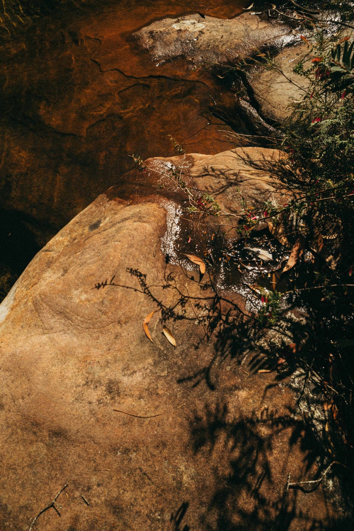 Photograph by Jessica Candradi, Hillvale Photo Trophy 2026 entry #0116